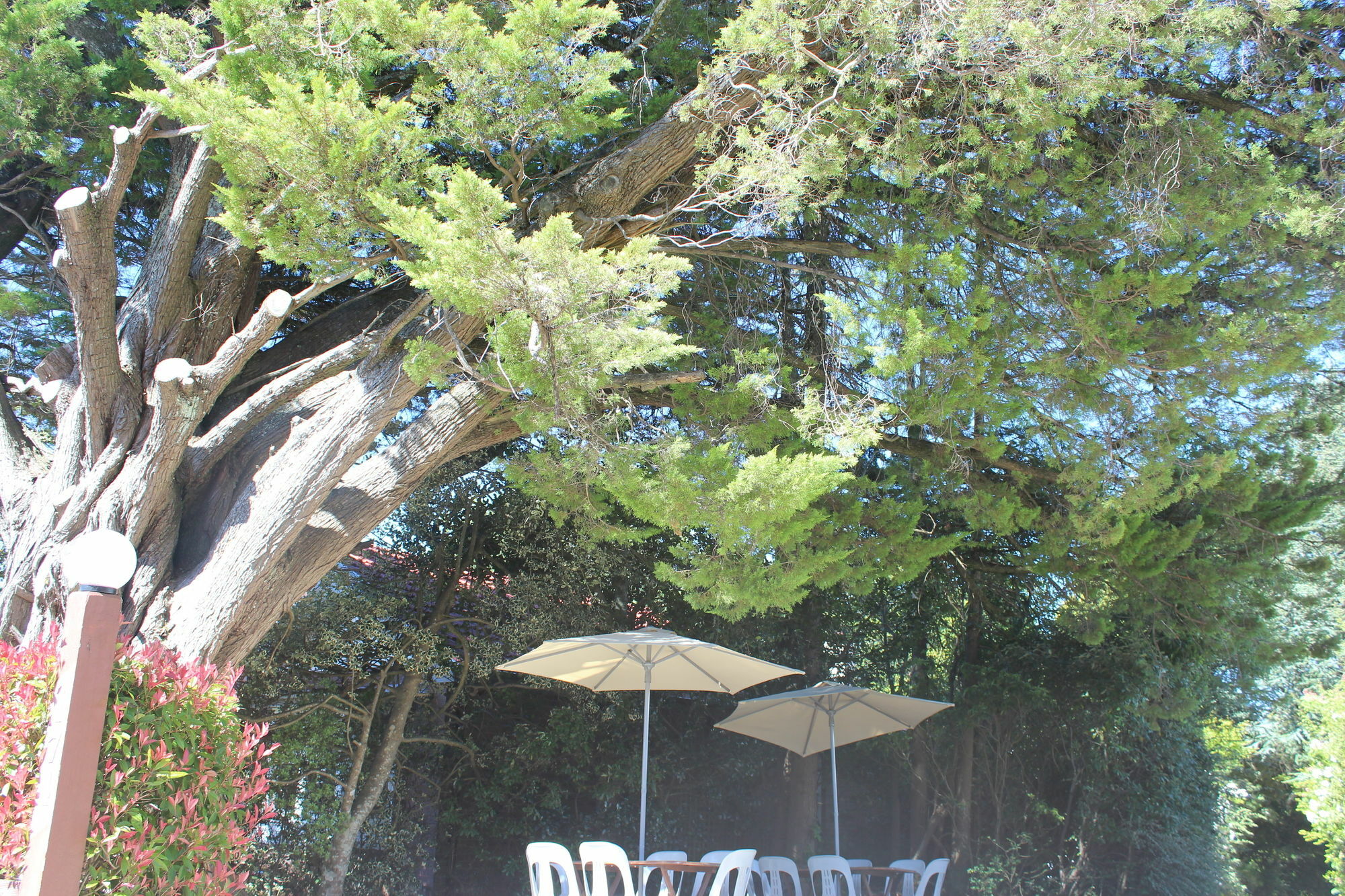 Hotel Avonleigh Katoomba Luaran gambar